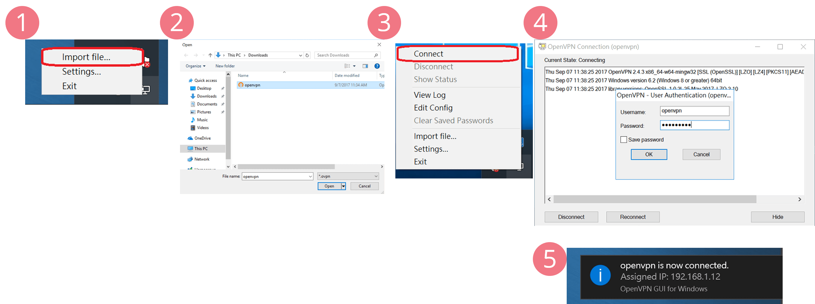 screenshots of Windows OpenVPN
