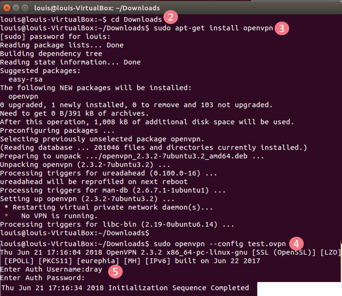 screenshots of Ubuntu connecting openVPN to Vigor3900