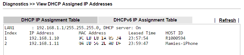 снимок экрана DHCP-таблицы DrayOS