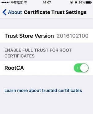 снимок экрана настроек доверия сертификатов iOS