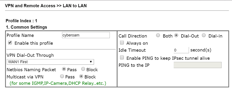 скриншот профиля VPN Vigor Router