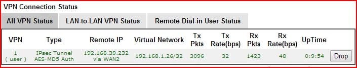 скриншот статуса подключения DrayOS VPN