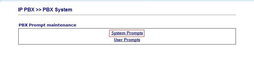 2.System Prompts..jpg