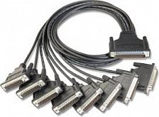 Opt-8C (CBL-M62M25x8) 8-port, DB-25 male cable - фото